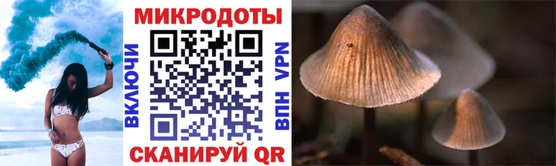наркошоп Биробиджан Галлюциногенные грибы прущие грибы